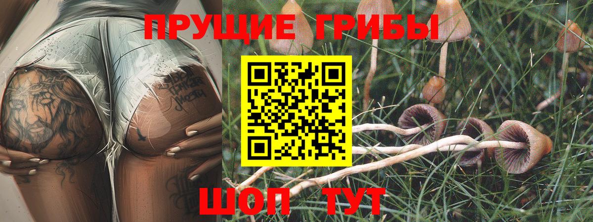 Псилоцибиновые грибы MAGIC MUSHROOMS Курганинск