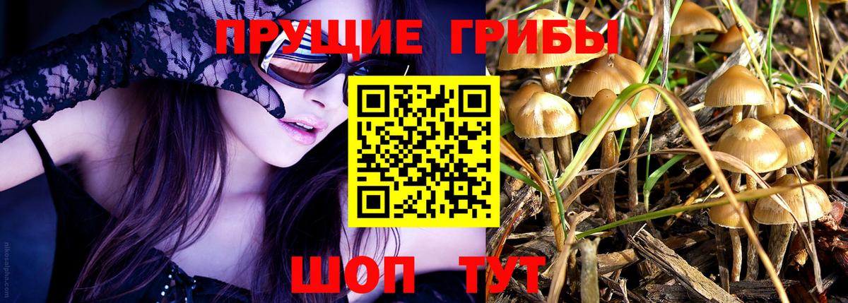 Псилоцибиновые грибы Psilocybine cubensis  Псилоцибиновые грибы ЛСД  Курганинск  Вход с VPN 